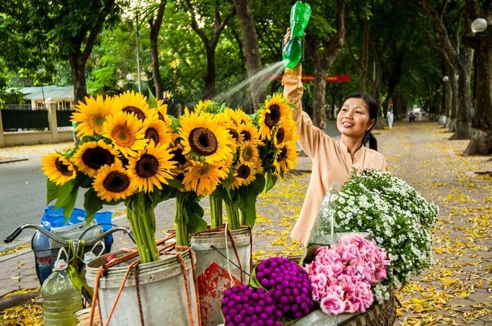  Hà Nội vào thu đầy màu sắc và hương vị ngọt ngào