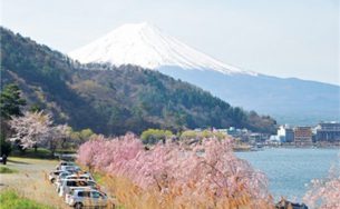 Hấp dẫn chuyến du lịch Hakone