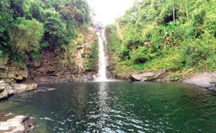 Hoang sơ nơi Giếng Trời