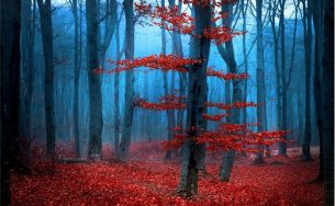 Khoảng khắc “giờ xanh” hoàn hảo ở các nơi trên thế giới