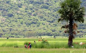 Kinh nghiệm du lịch An Giang