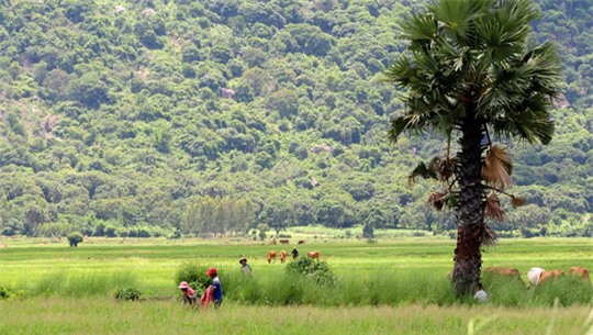 An Giang bình yên, thơ mộng