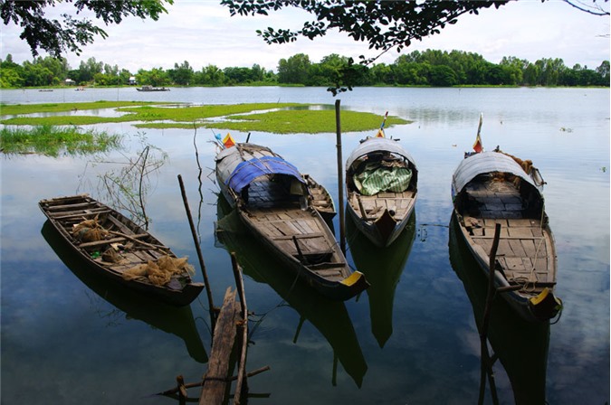 Búng bình thiên An Giang