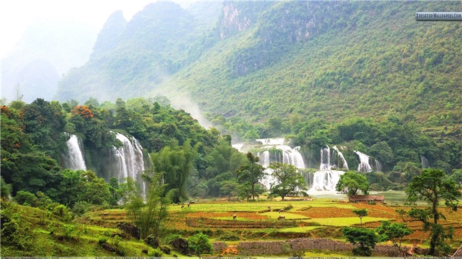 Thác Bản Giốc bao gồm hai thác, thuộc cả 2 nước Việt Nam và Trung Quốc