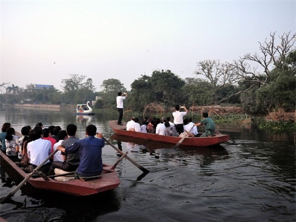 Đảo cò Chi Lăng Nam