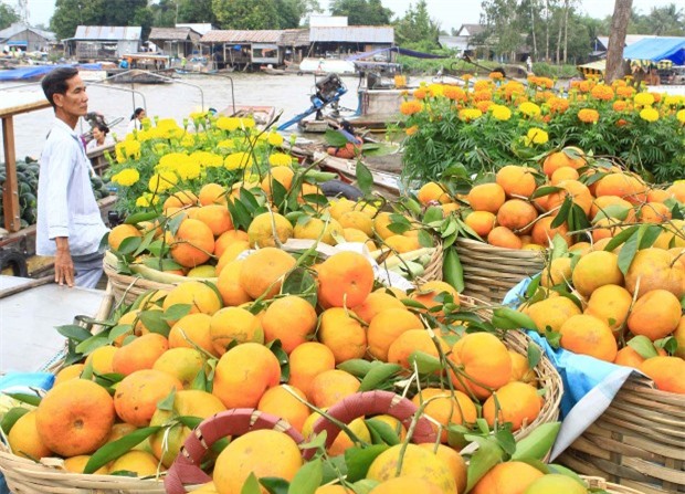 Sôi động chợ nổi Ngã Bảy