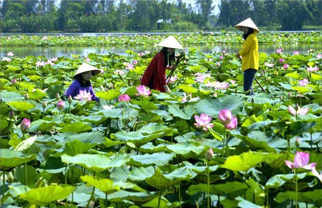 Khu du lịch sinh thái làng nổi Tân Lập Long An