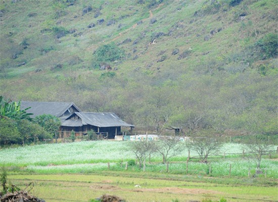 Vẻ đẹp bản Pa Phách