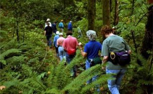 Kinh nghiệm du lịch rừng