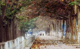 Các địa điểm chụp ảnh đẹp ở Hà Nội vào mùa hè