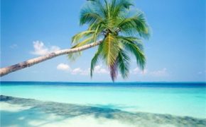 Mexico rực rỡ những bãi biển đẹp