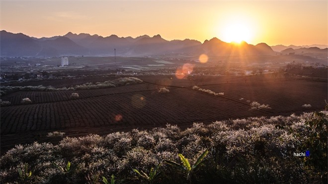 Mộc Châu huyền ảo trong nắng sớm và hoàng hôn