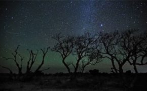 Mưa sao băng lớn nhất năm sẽ xuất hiện vào rạng sáng ngày 13/8