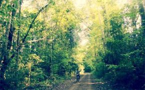 Nam Cát Tiên – điểm đến sinh thái dịp 2/9