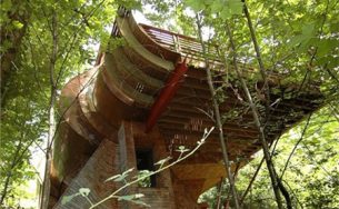 Ngắm ngôi nhà trên cây độc đáo giữa rừng xanh