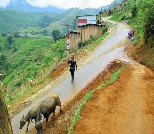 Sau đó, hãy cùng theo chân những người dân bản để hiểu thêm cuộc sống của họ. 