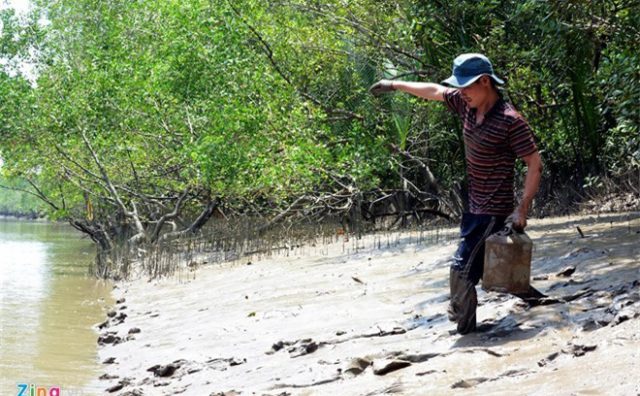 Những điểm phượt trong ngày gần Sài Gòn cho giới trẻ
