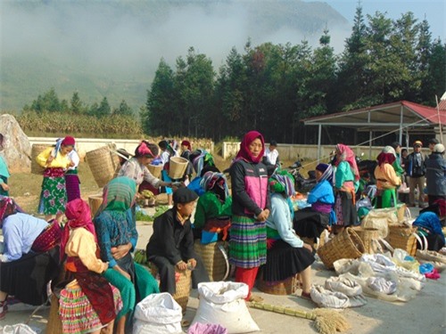 trải nghiệm nhớ mãi, Hà Giang, Phố Cáo, rừng thông Yên Minh