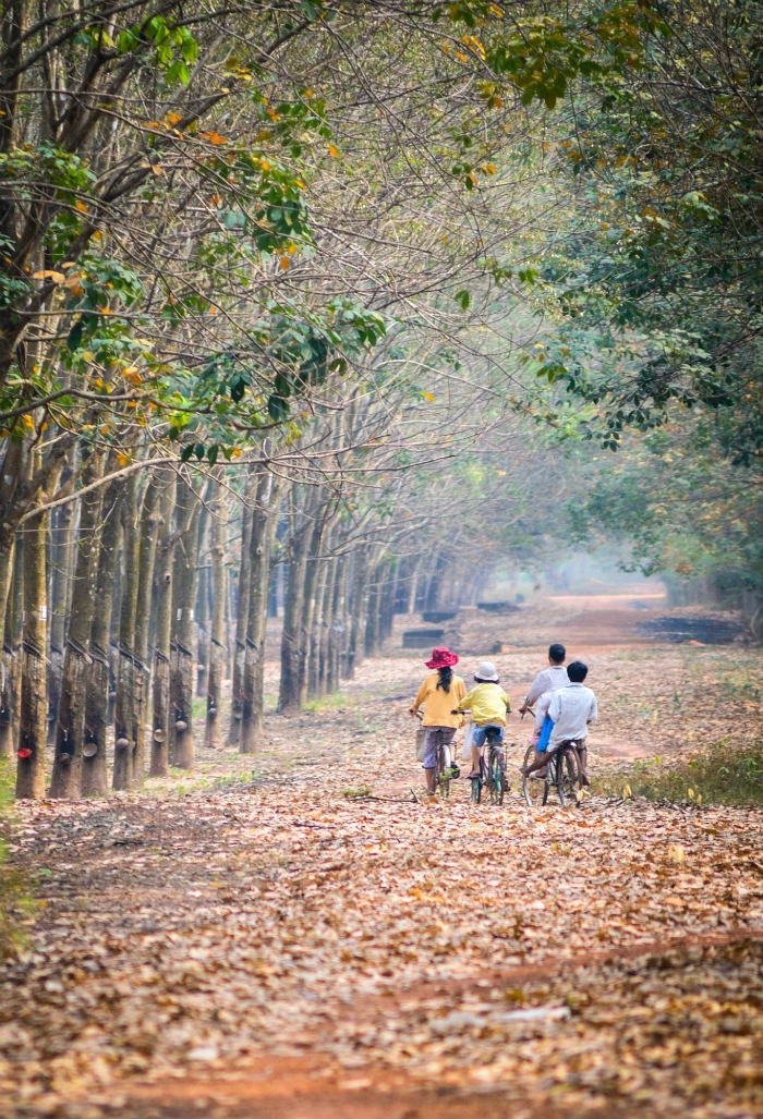 Bánh xe mùa thu - Ảnh: Phuong Nguyen Duy