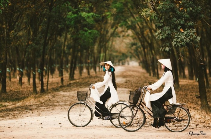 Sắc thu lãng mạn bên tà áo dài trắng tinh khôi - Ảnh: Quang Tran