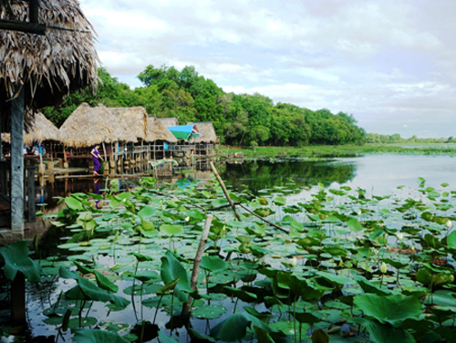 Trằm Trà Lộc