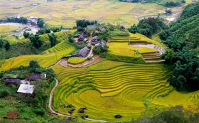 Ruộng bậc thang Sa Pa