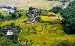 Ruộng bậc thang Sa Pa