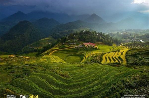 Ruộng bậc thang Việt Nam lọt vào top ảnh du lịch năm 2015.