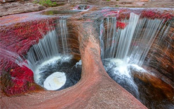 Cano Cristales là con sông nổi tiếng Colombia và thế giới với dòng nước màu đỏ do một loại tảo biển tạo nên. Tuy nhiên, chỉ giữa mùa mưa và mùa khô khi mực nước của sông ổn định, người ta mới nhìn thấy màu sắc rực rỡ của loài tảo khi chúng sinh sôi nảy nở.