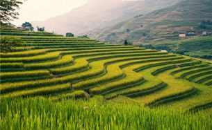 “Săn ảnh mùa vàng” trên những cung đường phương Bắc