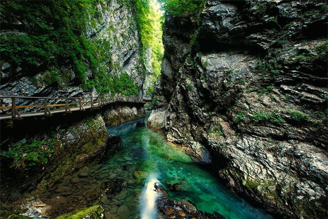 Slovenia, điểm hẹn giá rẻ, thành phố Ljubljana, du lịch giá rẻ