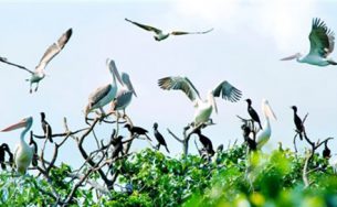 Thăm khu du lịch sinh thái nổi tiếng ở Bạc Liêu