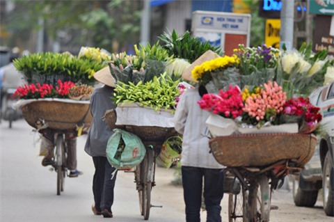 Hà Nội tháng 3 về và thành phố mùa hoa đẹp nhất miền Bắc