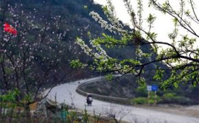 “Thiên đường trắng” xuất hiện giữa nơi thâm sơn cùng cốc