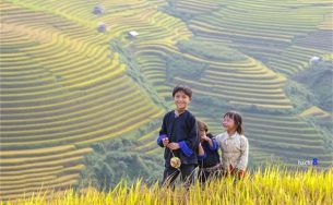 Thơ ngây nụ cười trẻ em Mù Cang Chải mùa lúa chín