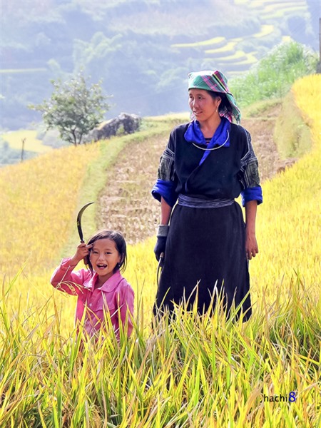 Các bé từ nhỏ cũng phải phụ giúp gia đình.