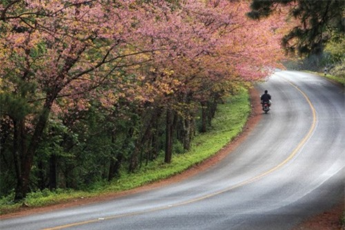 miền Bắc Thái, Chiang Rai, Chiang Mai, du lịch Thái Lan, Thái Lan