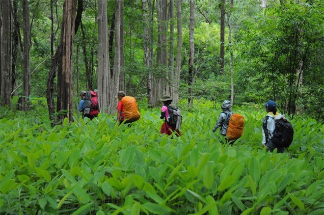 Đây là cung đường cho những ai đam mê trekking, tìm chốn bình yên, hòa mình với thiên nhiên.