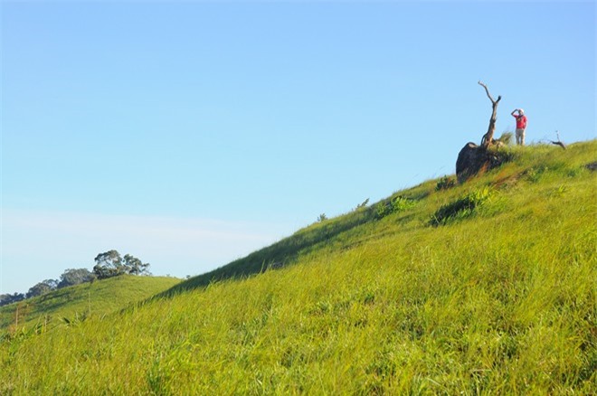 Cung Tà Năng - Phan Dũng, có thể trek lên 3 ngọn đồi cao để ngắm nhìn hoàng hôn, bình minh hay những con đường mòn đỏ chót của đất đỏ bazan như tấm vãi lụa uốn lượn nhấp nhô.