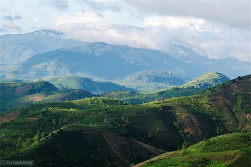 trượt zipline, trà Bảo Lộc, thác Dambri, du lịch Bảo Lộc