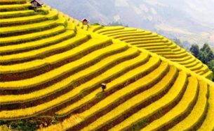 Tuần lễ Văn hóa, du lịch miền Tây Yên Bái năm 2015