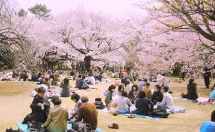 Kinh nghiệm du lịch Nhật Bản tự túc không thể bỏ qua