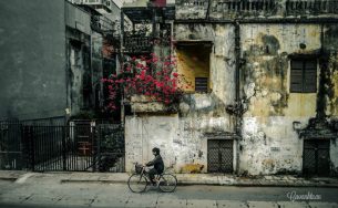 Mùa Đông cuốn hút ở 3 miền