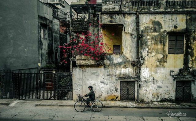 Mùa Đông cuốn hút ở 3 miền