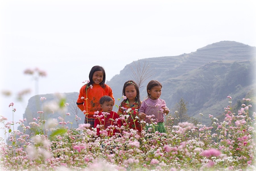 Trong trẻo màu hoa cùng trẻ em miền núi - Ảnh: Doan Quoc Tuan  