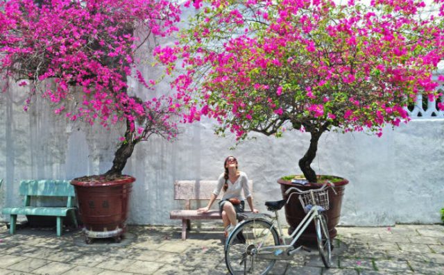 Cảnh Sắc tươi rói những ngày cuối xuân trên quê mình