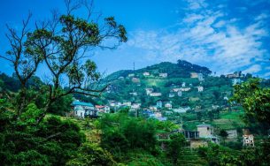 Tất tần tật kinh nghiệm du lịch Tam Đảo