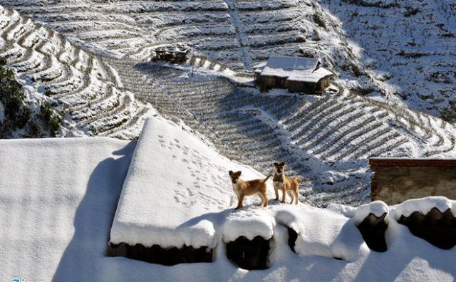 8 Điểm du lịch hot nhất Việt Nam mùa giáp tết