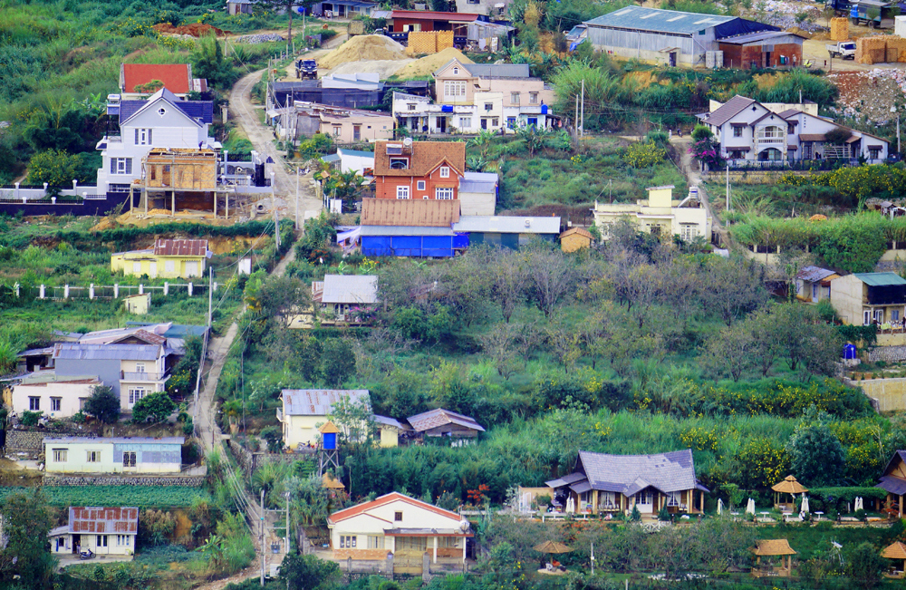 Đà Lạt. Ảnh: Linh Ly Thanh