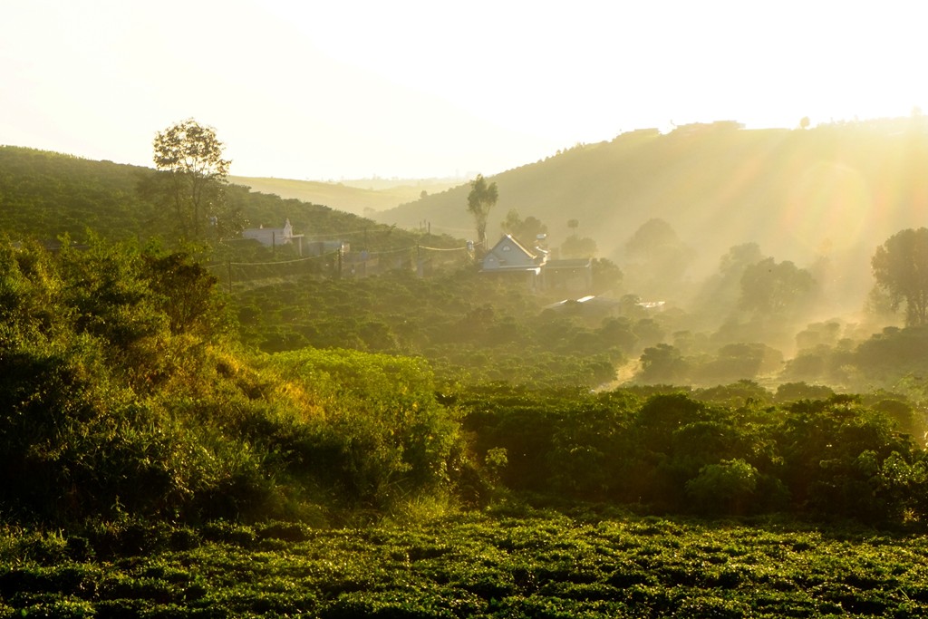 Bảo Lộc. Ảnh: Nguyễn Hải Vinh